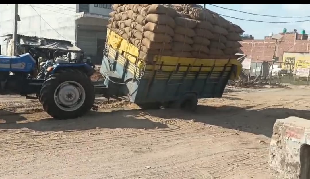 Animals are suffering and stray animals are also facing problems due to lack of fodder.
