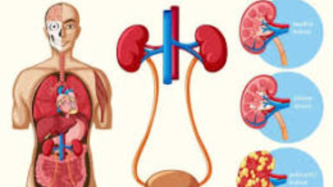 Avoid deteriorating kidney health
