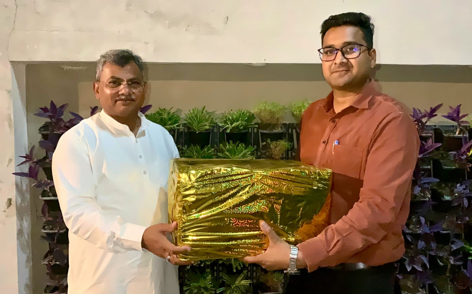 The lamps of the corporation cow shelter will illuminate the Saryu Ghat.