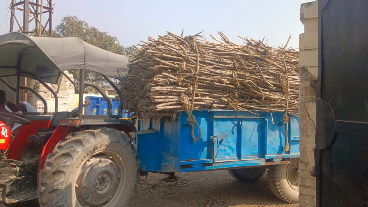 Uproar at Sarsawa Sugar Mill: Farmers' sugarcane returned, controversy sparked by allegations of undercutting