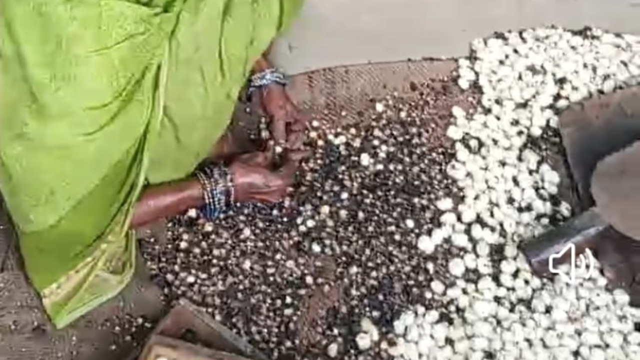 Makhana has become a global product as a super food.