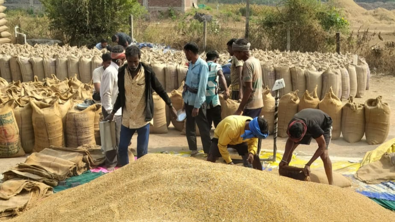 We farmers are getting good profits by purchasing paddy at the support price – Farmer Ganga Ram