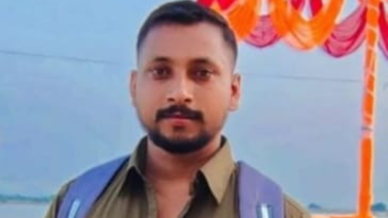 A driver died after being crushed under a crane chain that broke.