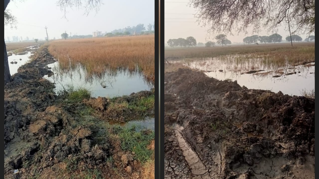 To those under whose "supervision" the water is flowing, say, "Dishonest..!"