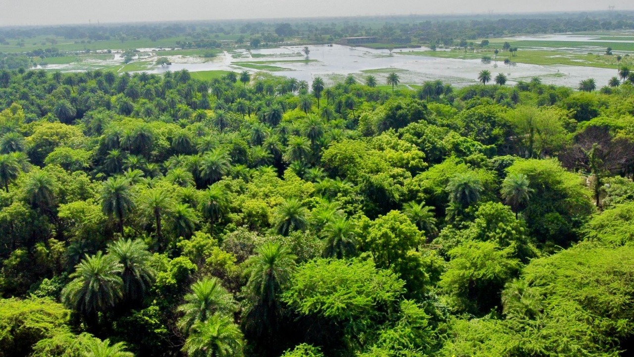 Narendra Modi welcomes new Ramsar sites at Patna Bird Sanctuary and Chhari-Dhand