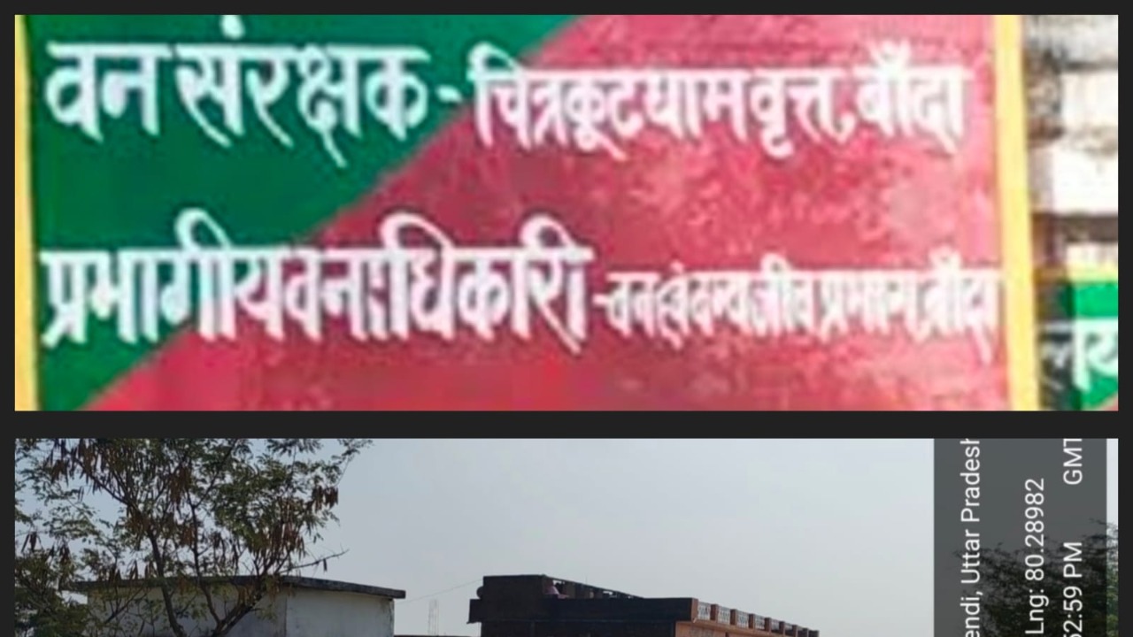 Due to the 'kindness' of the Forest Department, there is a danger of encroachment on greenery..!